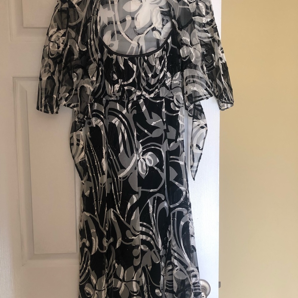 Dress with matching sheer jacket